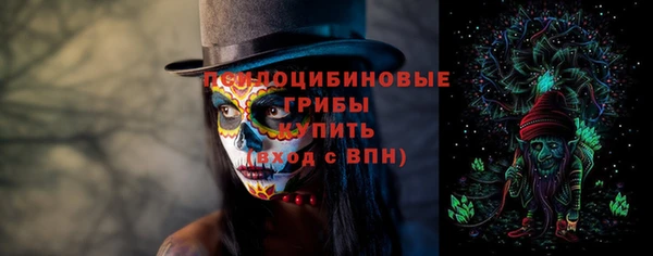 ГАЛЛЮЦИНОГЕННЫЕ ГРИБЫ Кинешма
