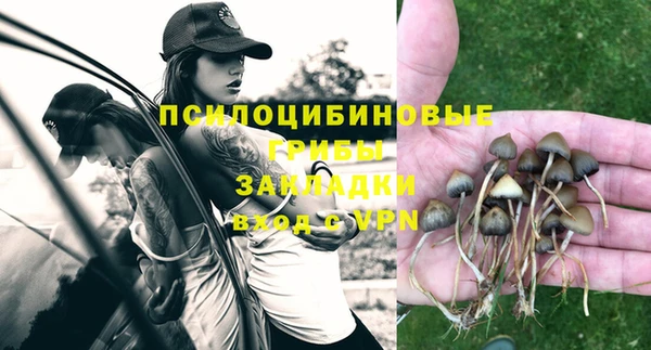 спайс Аркадак