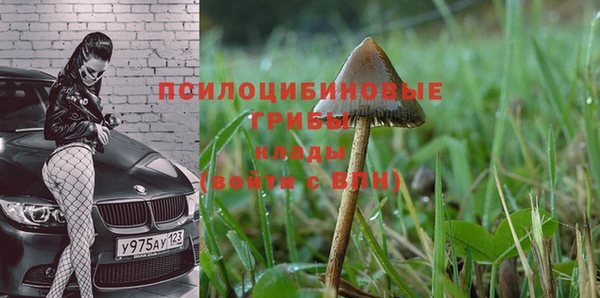 прущие крисы Арсеньев