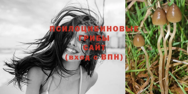 прущие крисы Арсеньев